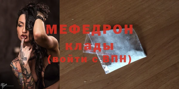 spice Богородицк