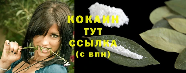 гашик Белокуриха