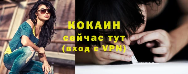 гашик Белокуриха