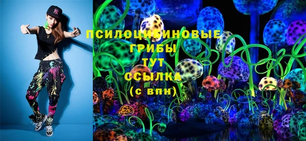 спайс Богородск
