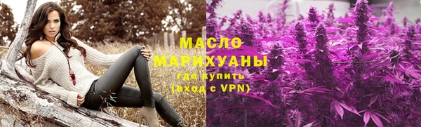 spice Богородицк
