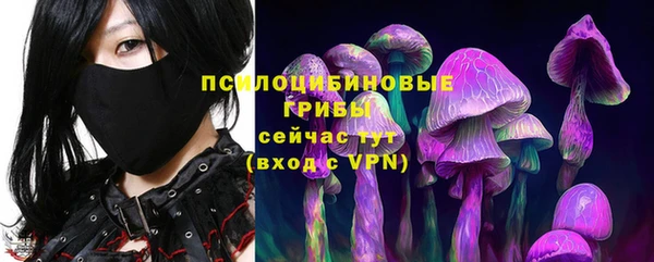 гашик Белокуриха