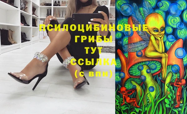 спайс Богородск