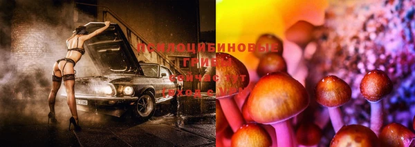 гашик Белокуриха
