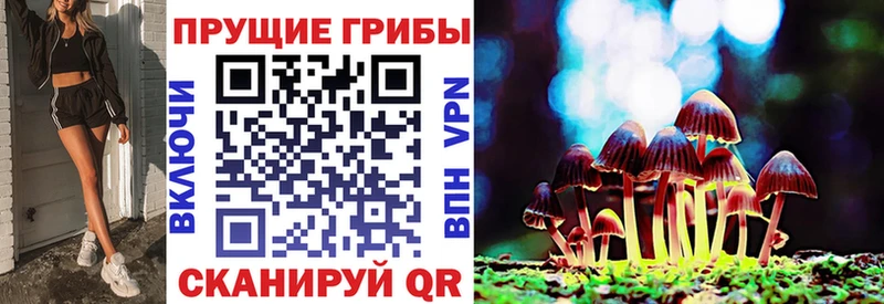 цена   Шахты  Галлюциногенные грибы мицелий 